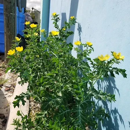 Apartamentos Elohim 2-3