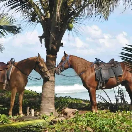 Gorgeous 1 Bedroom 1.5 Bath Condo Near The Beach-2