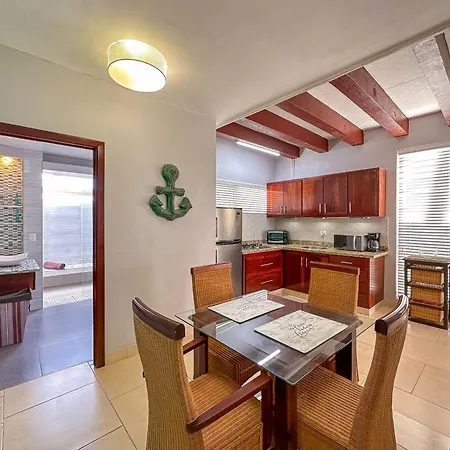 Gorgeous 1 Bedroom Ph Apartment W Jacuzzi-3