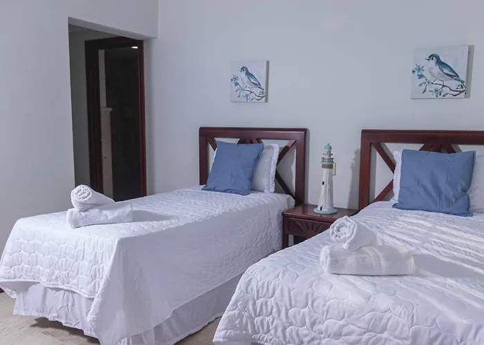 Nautilus Apartamento Ejecutivo 2 Hab Piscina Y A Pasos De La Playa Apartamento Punta Cana aceita animais de estimação